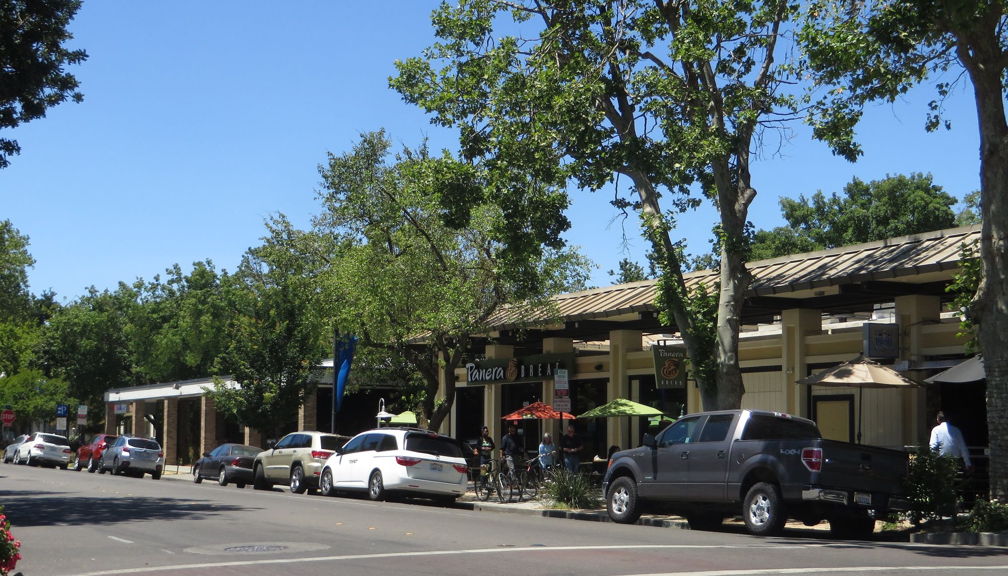 A tree-lined street in downtown Davis, California