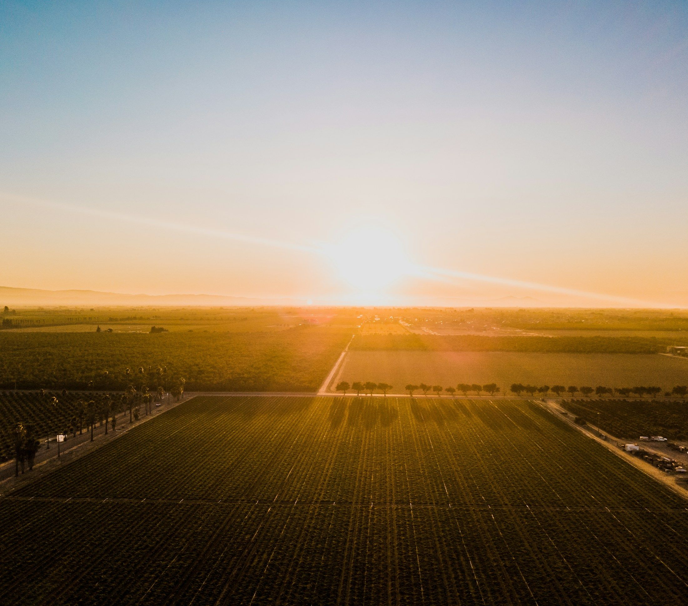 Golden farmland at sunset near Davis