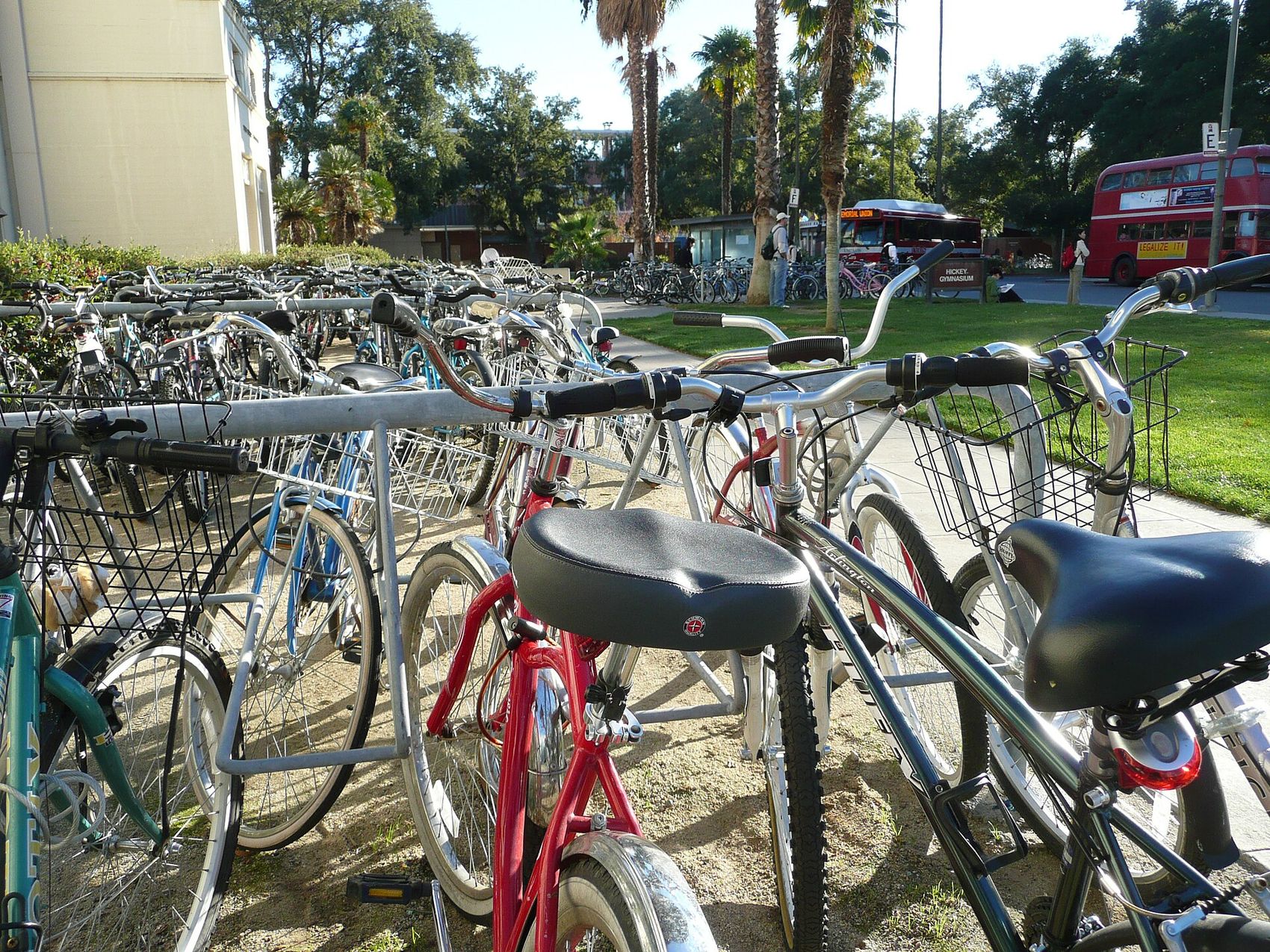 Bicycles parked at UC Davis