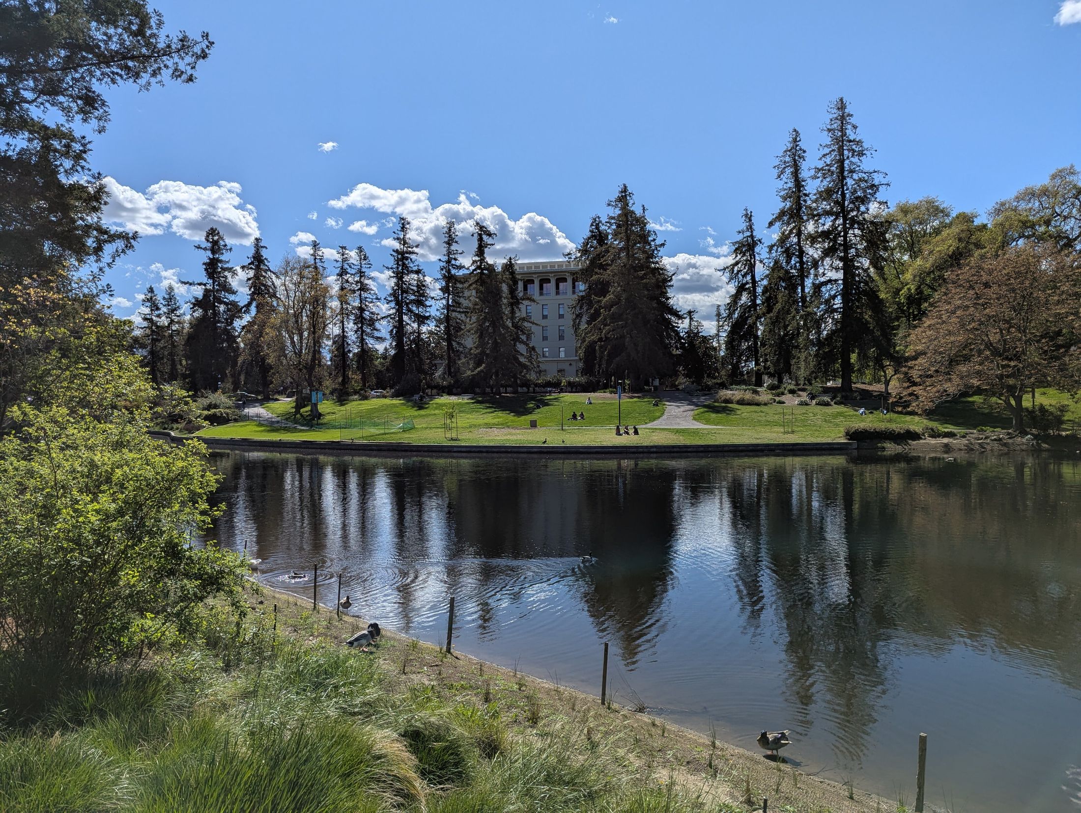 UC Davis campus